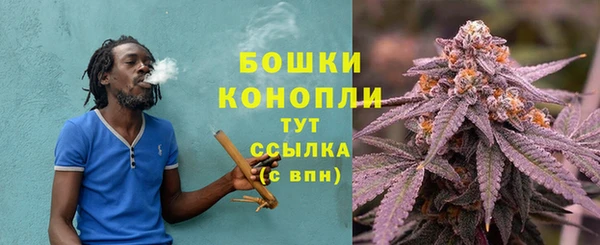 МДПВ Горняк