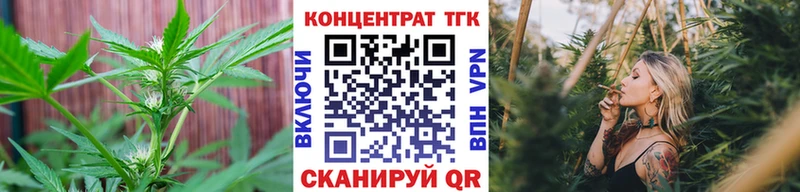 ТГК THC oil  Купить закладки  Власиха 
