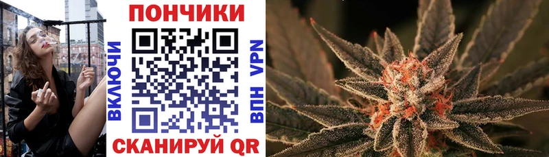 Каннабис план  Купить закладки  Власиха 